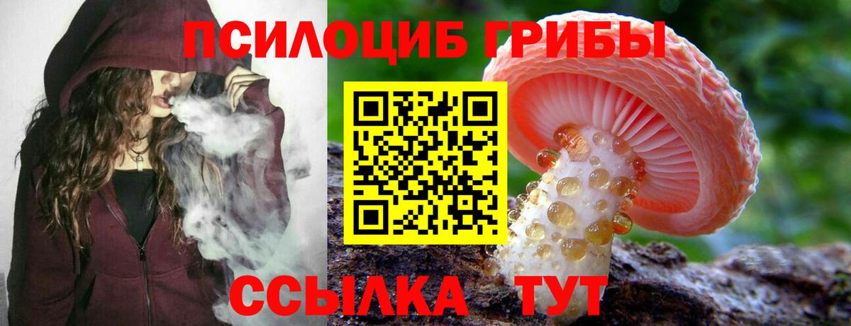Псилоцибиновые грибы Cubensis  Вход с VPN  цена наркотик  Бор 