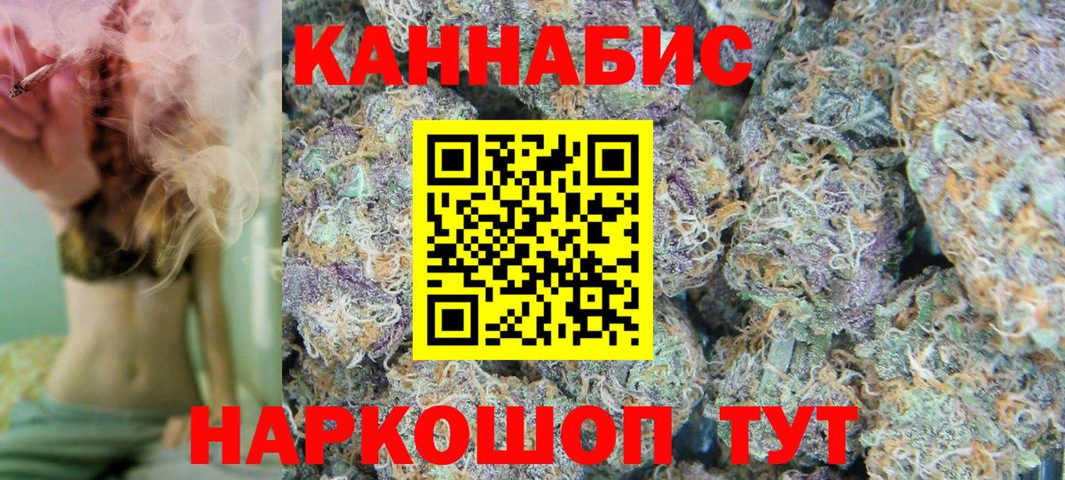 Бошки Шишки марихуана  Бошки Шишки тримм  Канабис планчик  Бор  Вход с VPN 